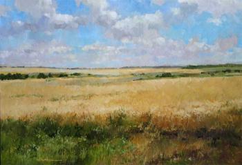 355. �������� �������