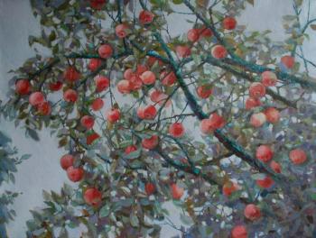 ������� ������������ �������