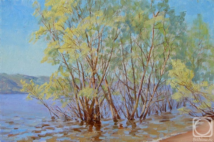 Panov Igor. Volga. Flood