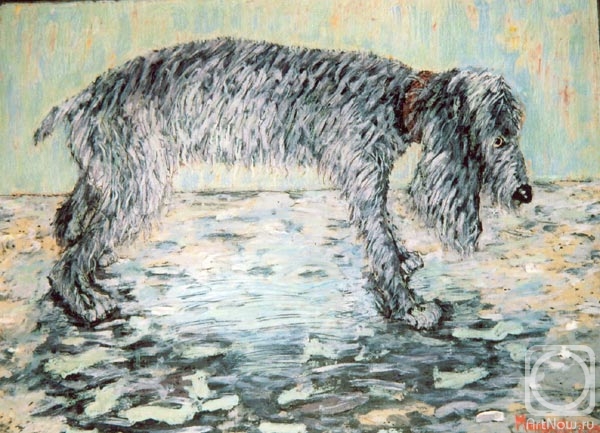 Moniava Igor. Dog