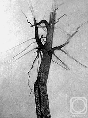 �������. ������� ����. �����