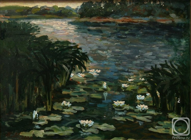 Mihajljukov Nikolay. Water-lilies. Evening (etude)