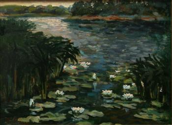 Water-lilies. Evening (etude). Mihajljukov Nikolay