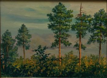 ������� ������, ���������� ������� (����)�