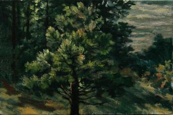 ������� ����� ���� (����)�