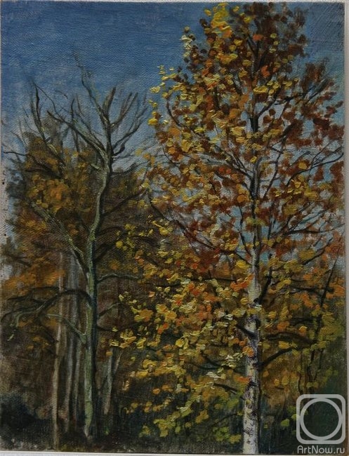 Mihajljukov Nikolay. Autumn birch