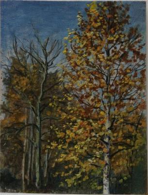 Autumn birch. Mihajljukov Nikolay