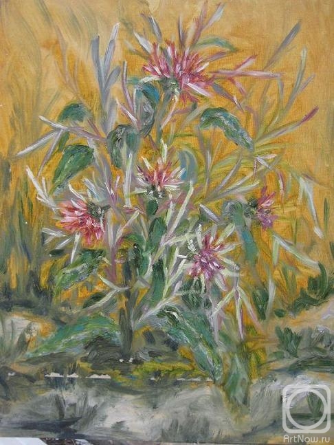 ������� ������ �� ������. ������ ����. ����������