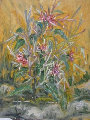 ������� ������������