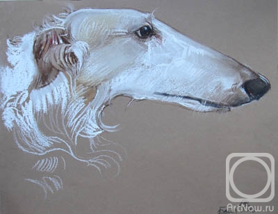 �������. �������� ������. ������� ������ ������ �� ������ ����