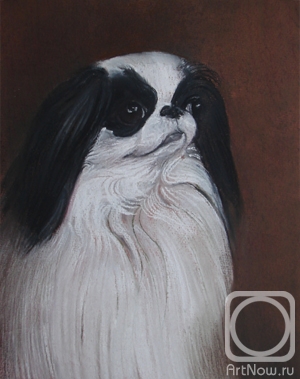 �������. �������� ������. �������� ��� (������ ���� ����� ���� ������ ���)