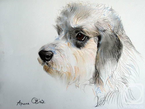 �������. �������� ������. �����