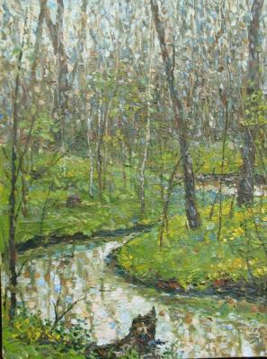 Spring Creek. Vasishchevo. Zolotarev Leonid