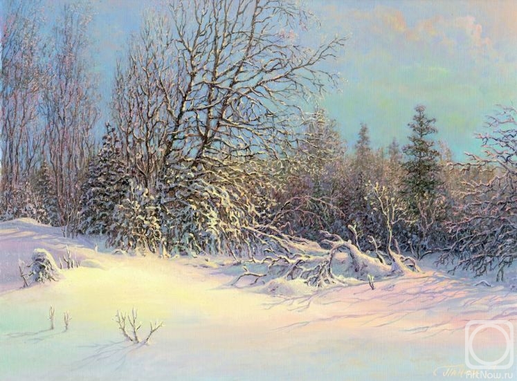 Panin Sergey. Beauty winter