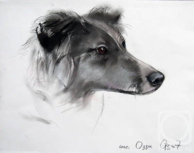 �������. �������� ������. ����� �� ������ ����