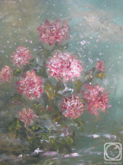 ������� ������ �� ������. ������ ����. ��������� ���� ������� ������� �� ����������