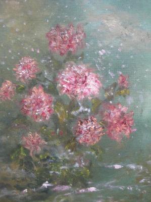 ��������� ���� ������� ������� �� ����������. ������ ����