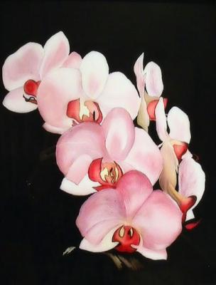 Orchid. Yahnev Sergey