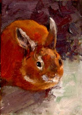 Ryzhik (Red Rabbit). Voronova Oksana