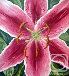 ������� ������ �� ������. ������ ������. ������� �����