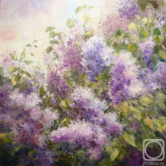 ������� ������ �� ������. ������� �������. ���� ������