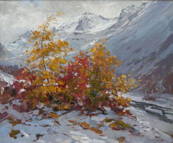 Arkhyz. Autumn Snow (Snow Arkhyz). Makarov Vitaly