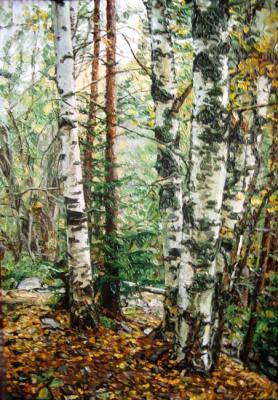 ���������� ������� ���������. �����