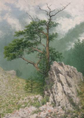 ������� ������� � ������