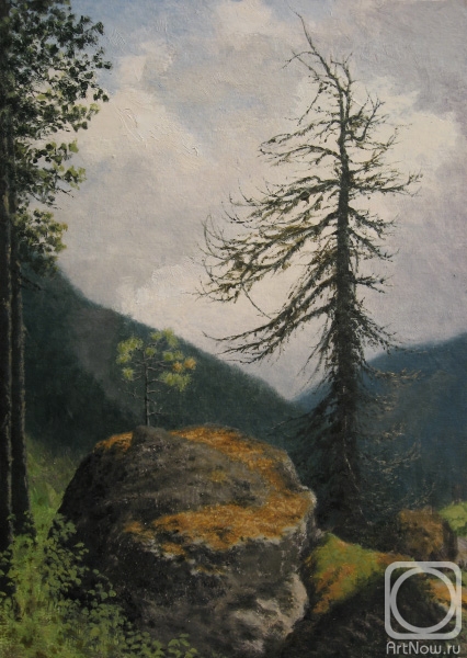 �������. ������� �������. ��� ������