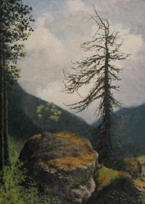 ������� ���� ������