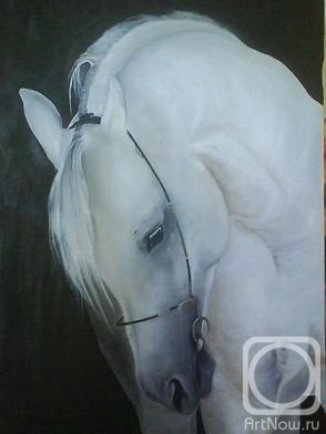 ������� ������ �� ������. ��� �������. ������� ������ �����