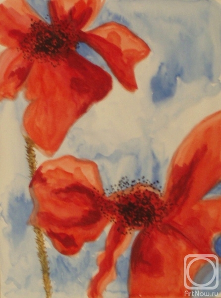 �������. �������� ������. ����� 206 (����. ����� �����)