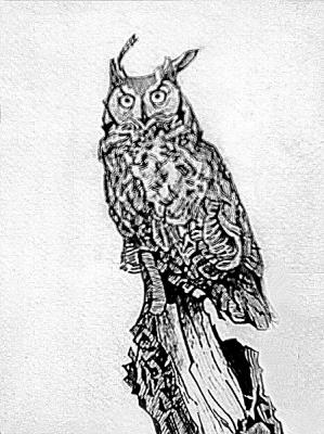 Eagle owl. Deryabin Oleg