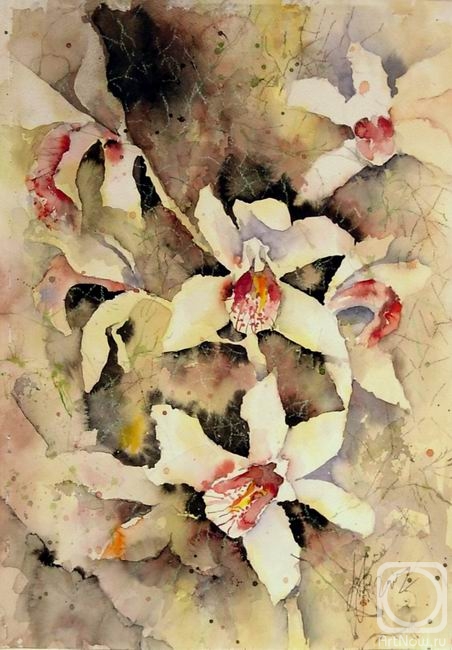 Patrushev Dmitry. White orchid