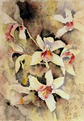 White orchid. Patrushev Dmitry