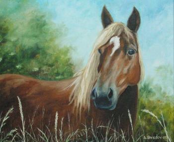 Horse. Shvedov Sergei