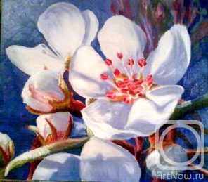 ������� ������ �� ������. ������ ������. ������ ������