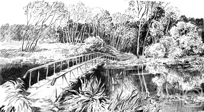 �������. ����������� ����. �� ����� ������ ���������� - 6