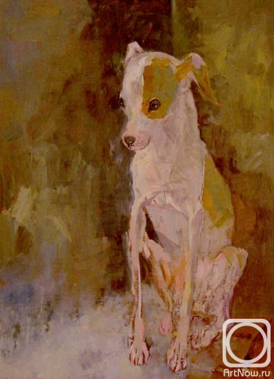 �������. �������� ������. �����������