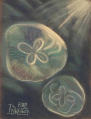 The Sea Umbrella (Jellyfish In The Water). Lukaneva Larissa