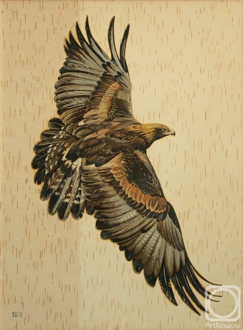 Shishelov Igor. Golden eagle