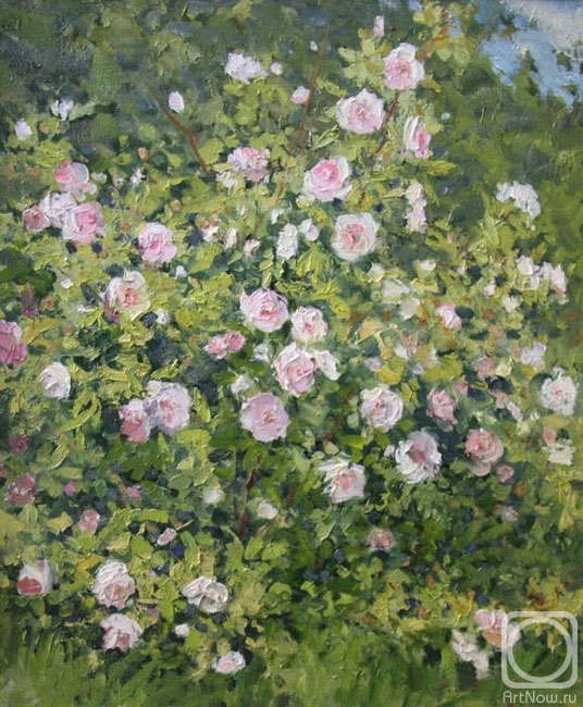 Shevchuk Vasiliy. The shrub roses