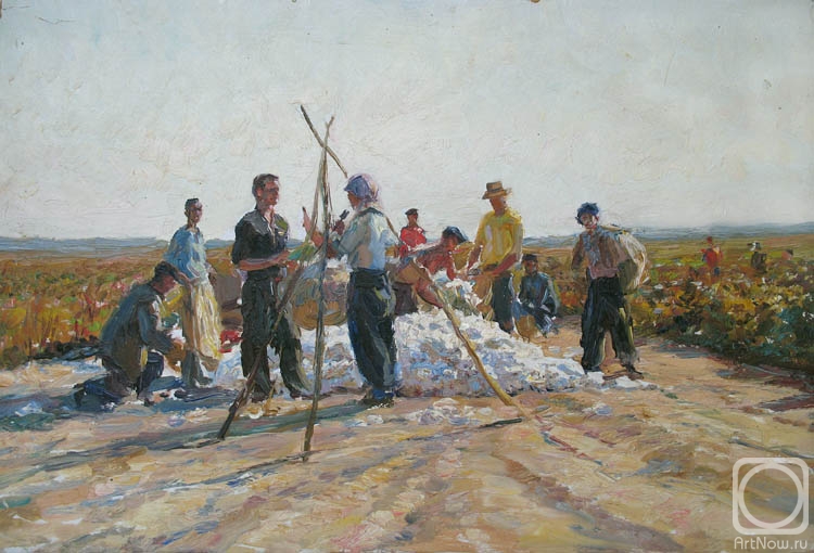 Petrov Vladimir. Weighing of the collected cotton