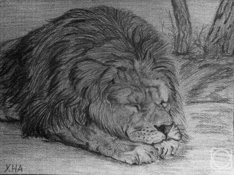 �������. ��������� �������. �����