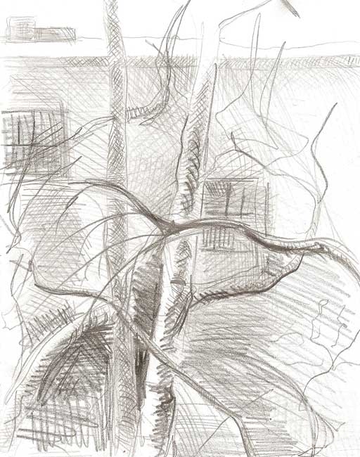 �������. �������� ����. ����� � ����