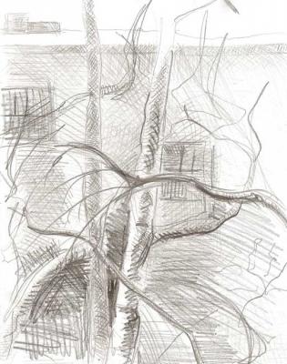 ������� ������ � ����