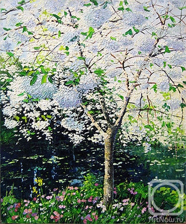 ������� ������ �� ������. ������ �������. ������� �����