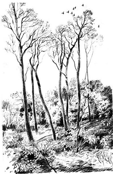 Vrublevski Yuri. From a cycle �Autumn in Mozhaisk� - 22