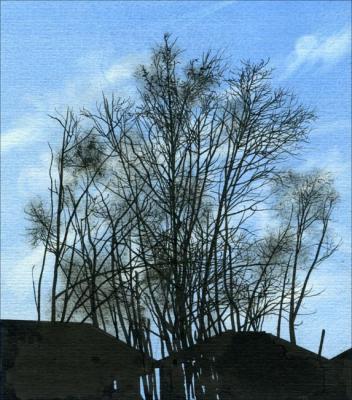 Trees. Suleymanov Michael