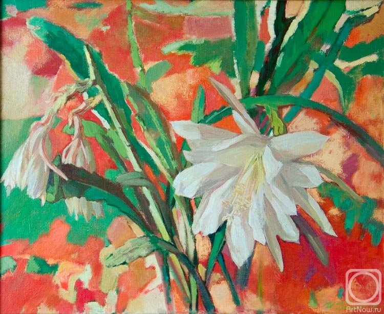 ������� ������ �� ������. �������� �����. �������� ������� 2